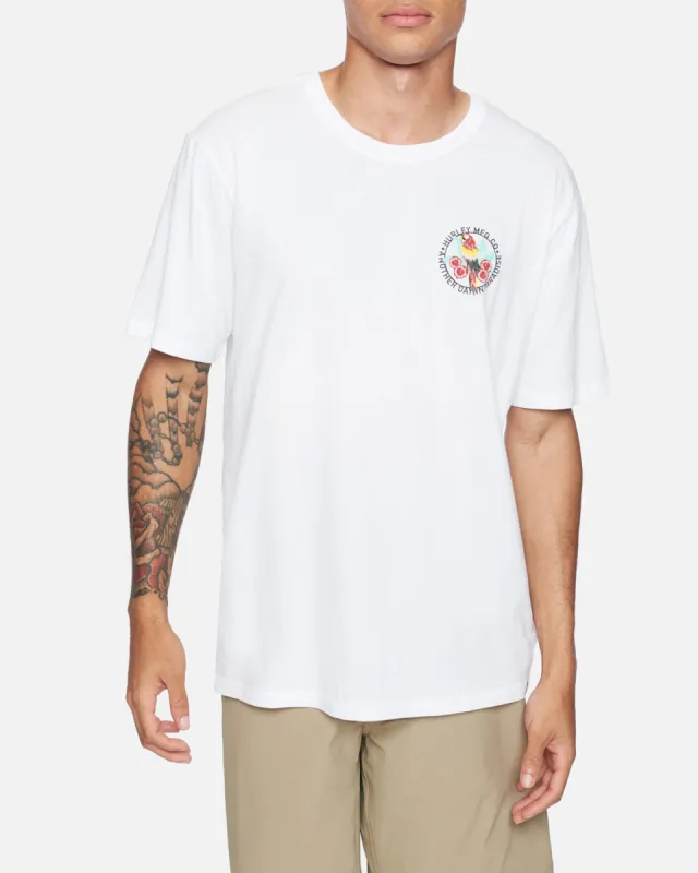 Everyday Washed Parrot Short Sleeve T-Shirt sold by Hurley