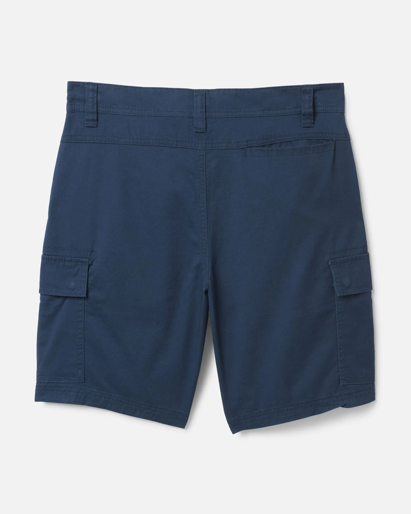 Essential Favorite Fruit Stretch Woven Cargo Walkshort 20" sold by Hurley product image thumbnail 2