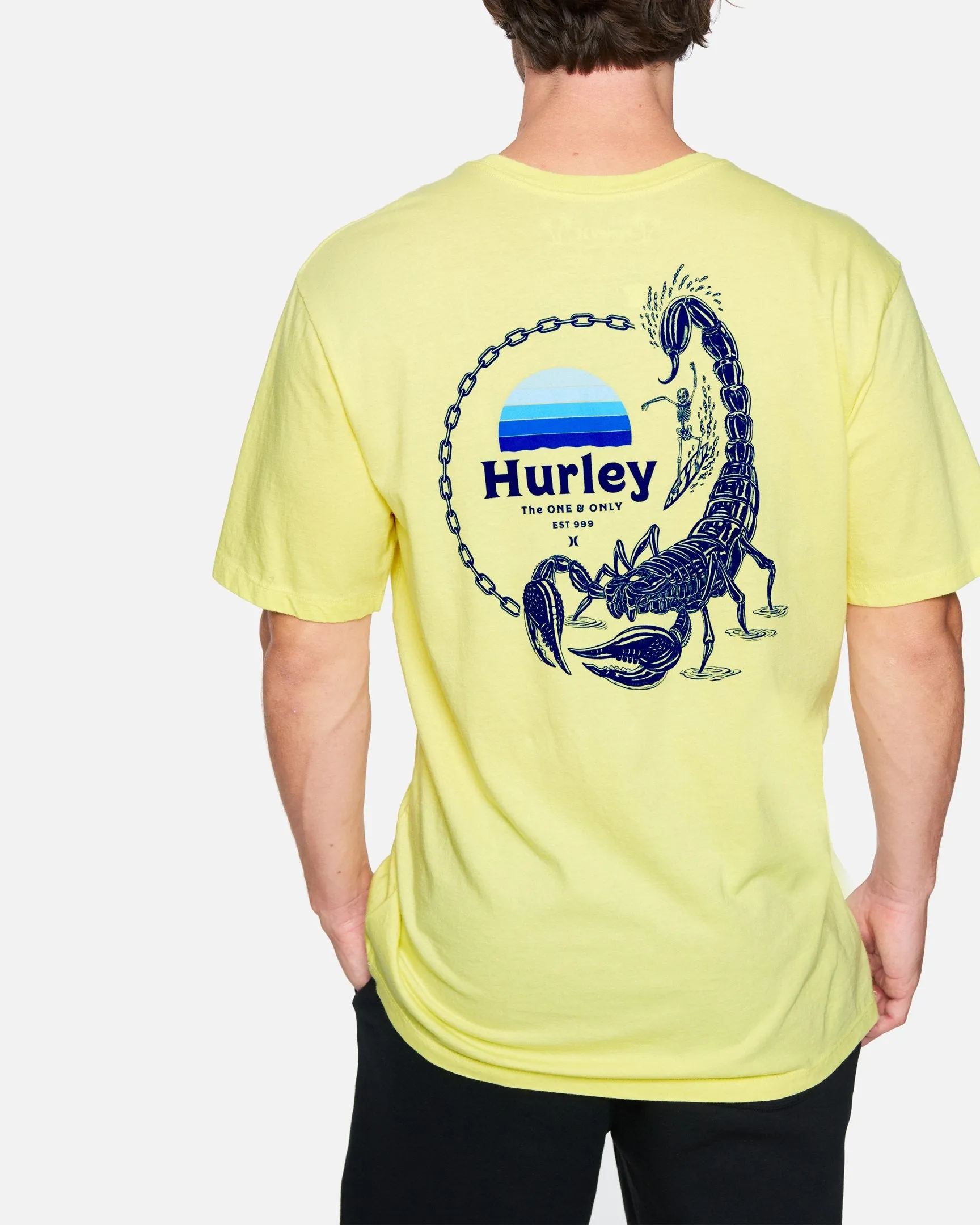 Everday Washed Drop In Short Sleeve T-Shirt sold by Hurley product image thumbnail 3