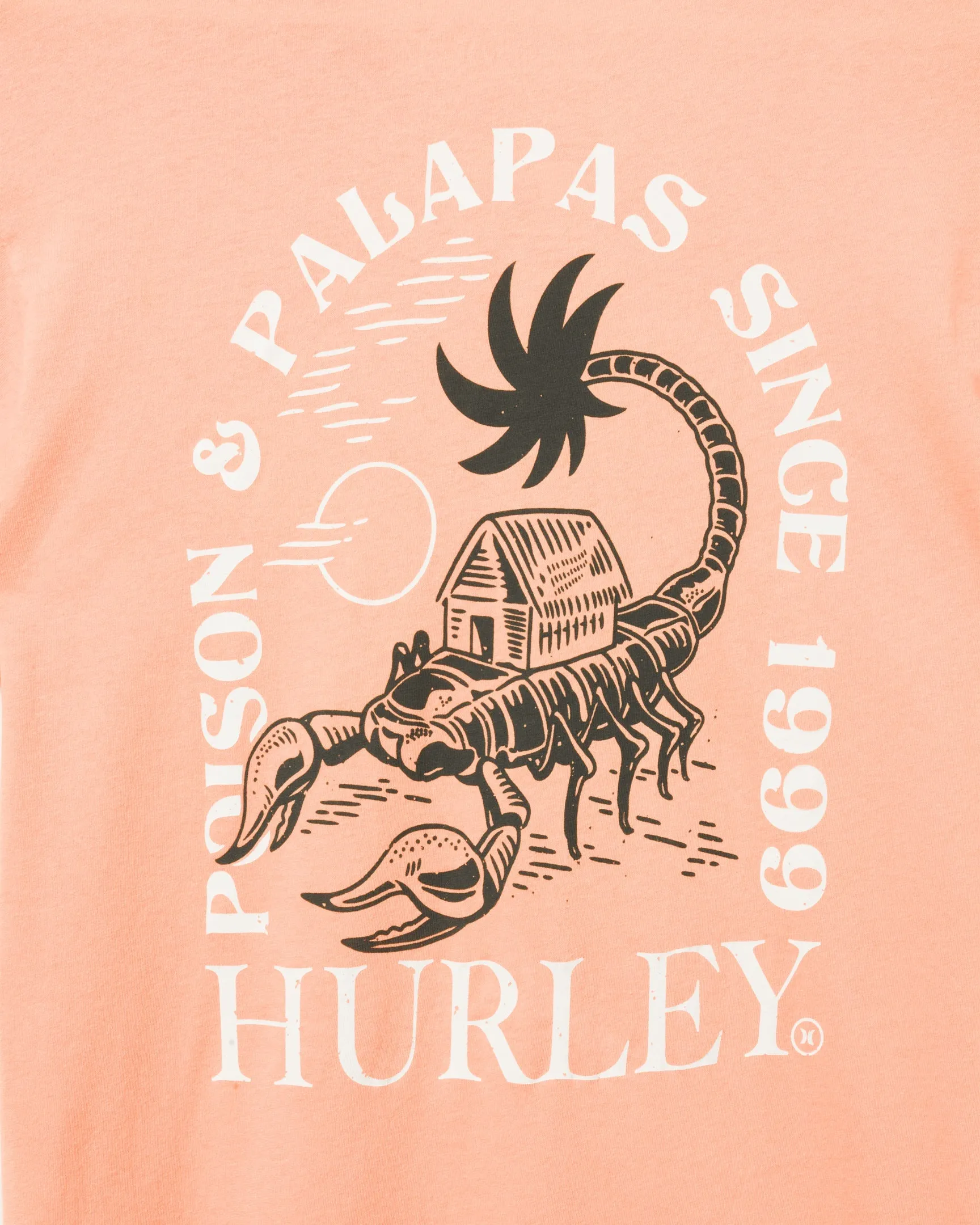 Everyday Washed Poison Palapas Short Sleeve T-Shirt sold by Hurley product image thumbnail 3