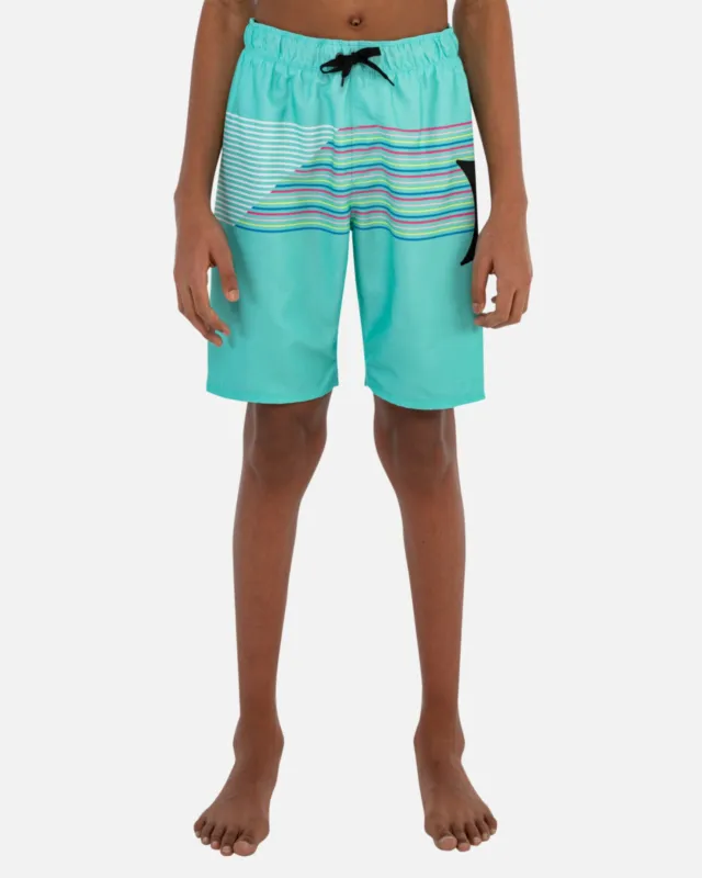 Boy's Slash Pull On Swim Trunk sold by Hurley