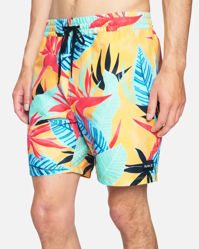 Bird Rock Volley Boardshorts 17" sold by Hurley