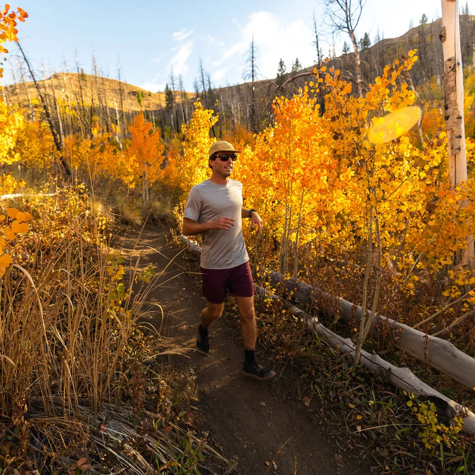 Men's Springbok Short sold by Ibex product image thumbnail 3