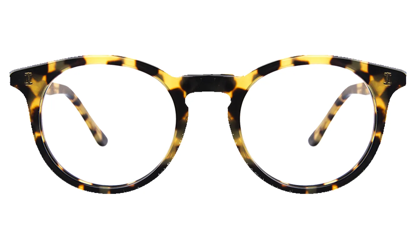 Sterling Optical made by Illesteva