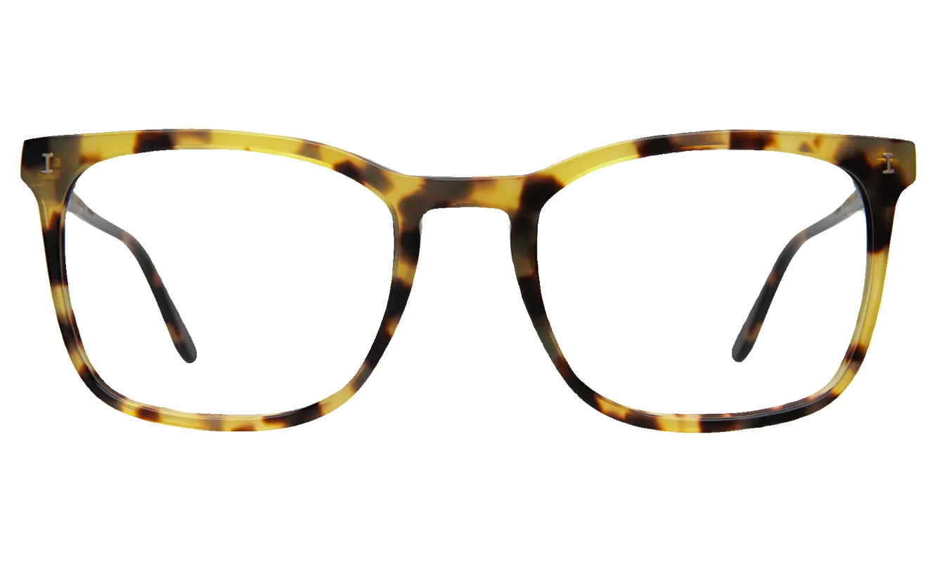 Greg Optical sold by Illesteva