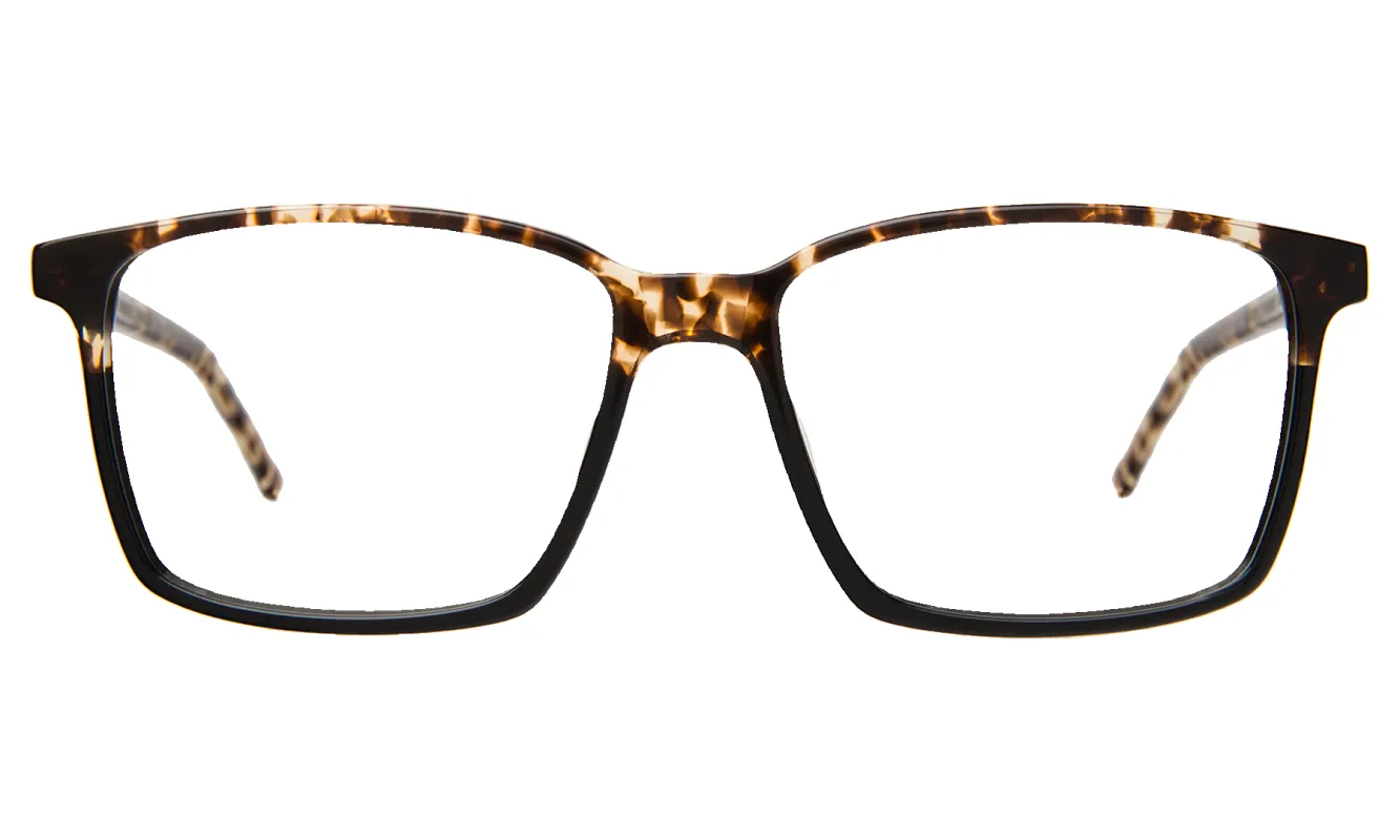 Middlesbrough Optical sold by Illesteva