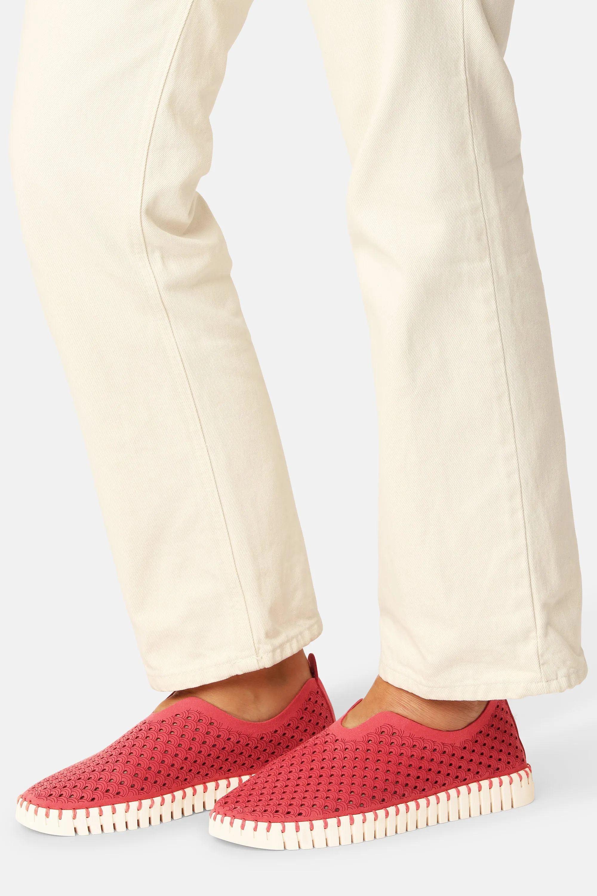 Tulip Flats - Baked Apple Pearled Ivory sold by Ilse Jacobsen