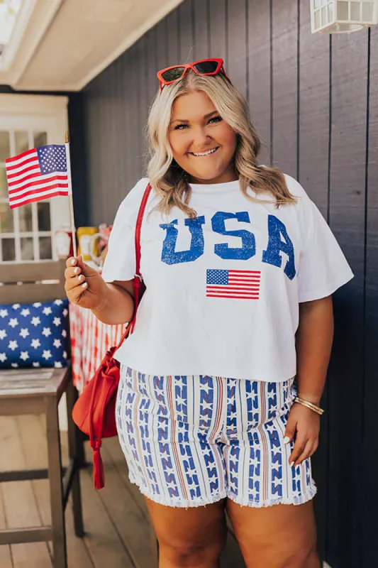 USA Pride Graphic Tee Curves sold by Impressions