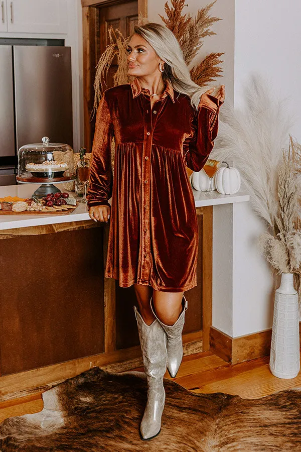 Festival Feels Velvet Mini Dress in Cinnamon sold by Impressions product image thumbnail 4