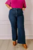 The Adriana High Waist Wide Leg Jean in Dark Wash Curves sold by Impressions