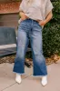 Risen Westley High Waist Relaxed Jean Curves sold by Impressions