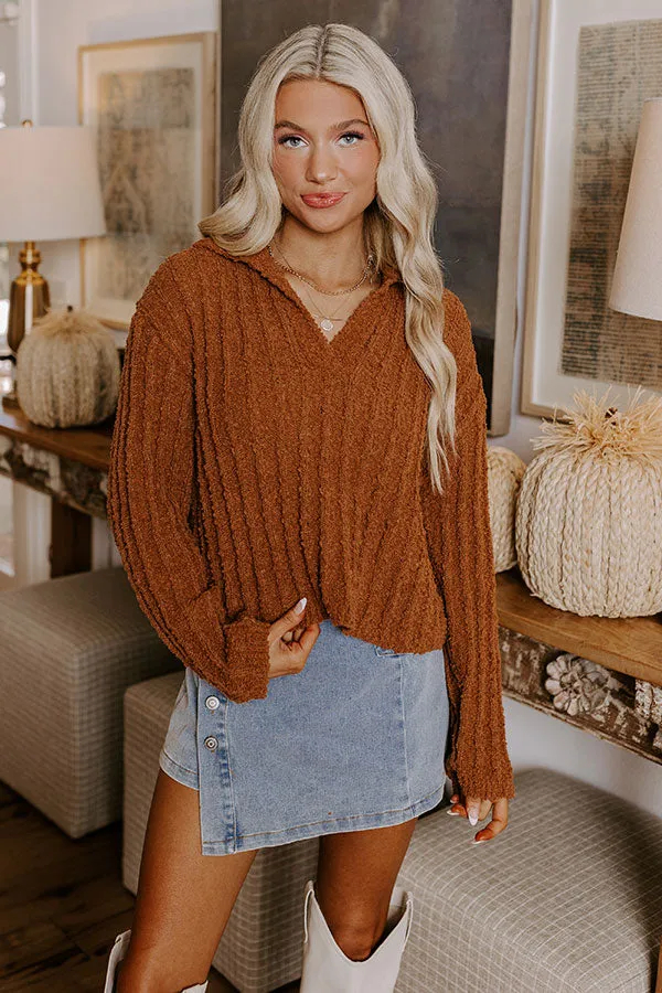 Harvest Hues Knit Sweater Top in Cinnamon sold by Impressions product image thumbnail 3