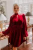 Holiday Social Velvet Mini Dress in Wine sold by Impressions