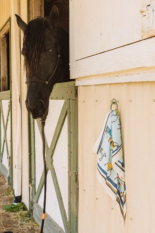 Hold Your Horses Satin Hair Scarf sold by Impressions