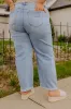 RISEN Willa High Waist Wide Leg Jean Curves sold by Impressions