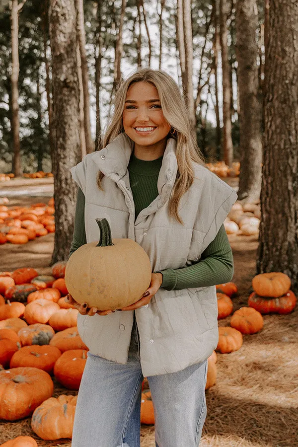Brisk Stroll Puffer Vest in Stone sold by Impressions