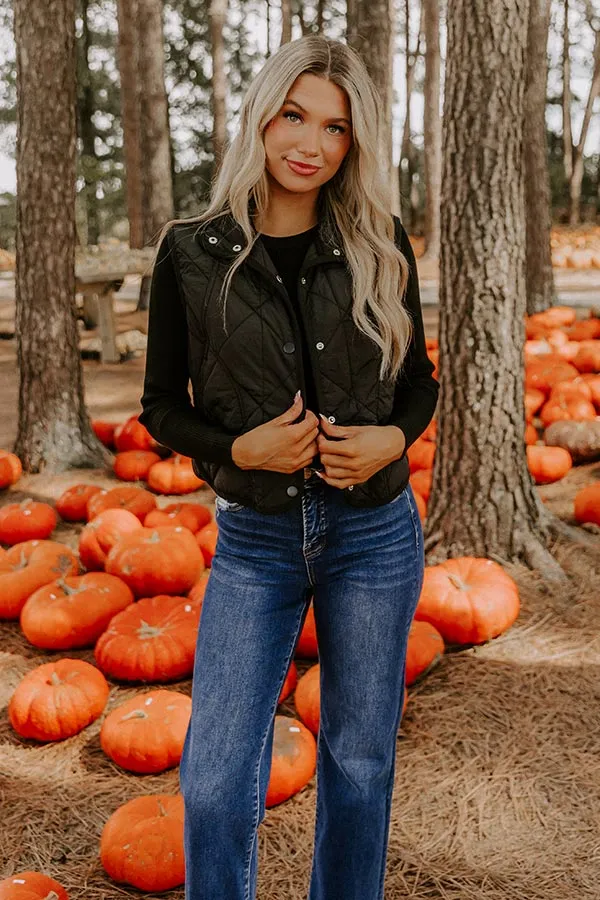 Morning Dew Quilted Vest in Black sold by Impressions