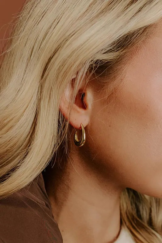 Elegant Evening Drop Earrings sold by Impressions