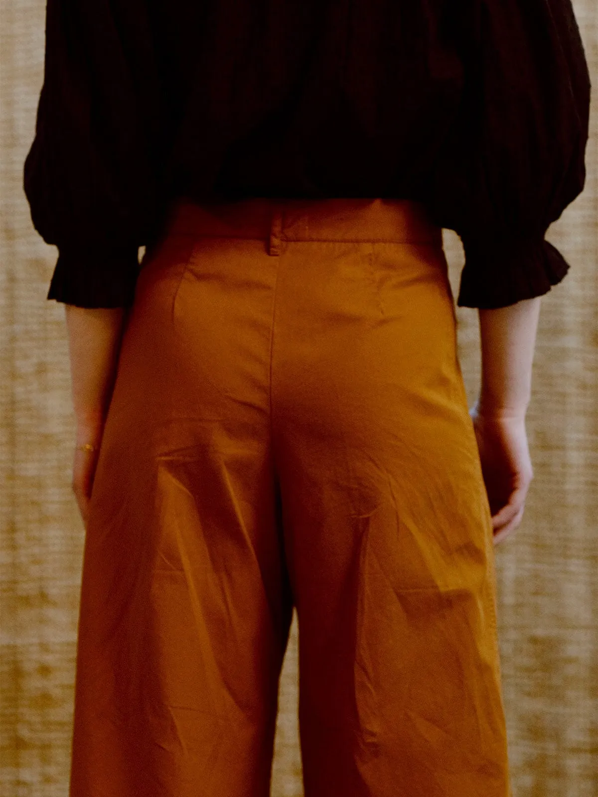 Luca Wide Trouser- Tobacco sold by iris product image thumbnail 3