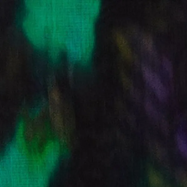 Foulard Luana sold by Isabel Marant product image thumbnail 4