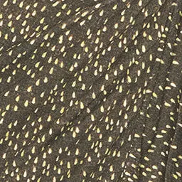 Robe Lisy sold by Isabel Marant product image thumbnail 5