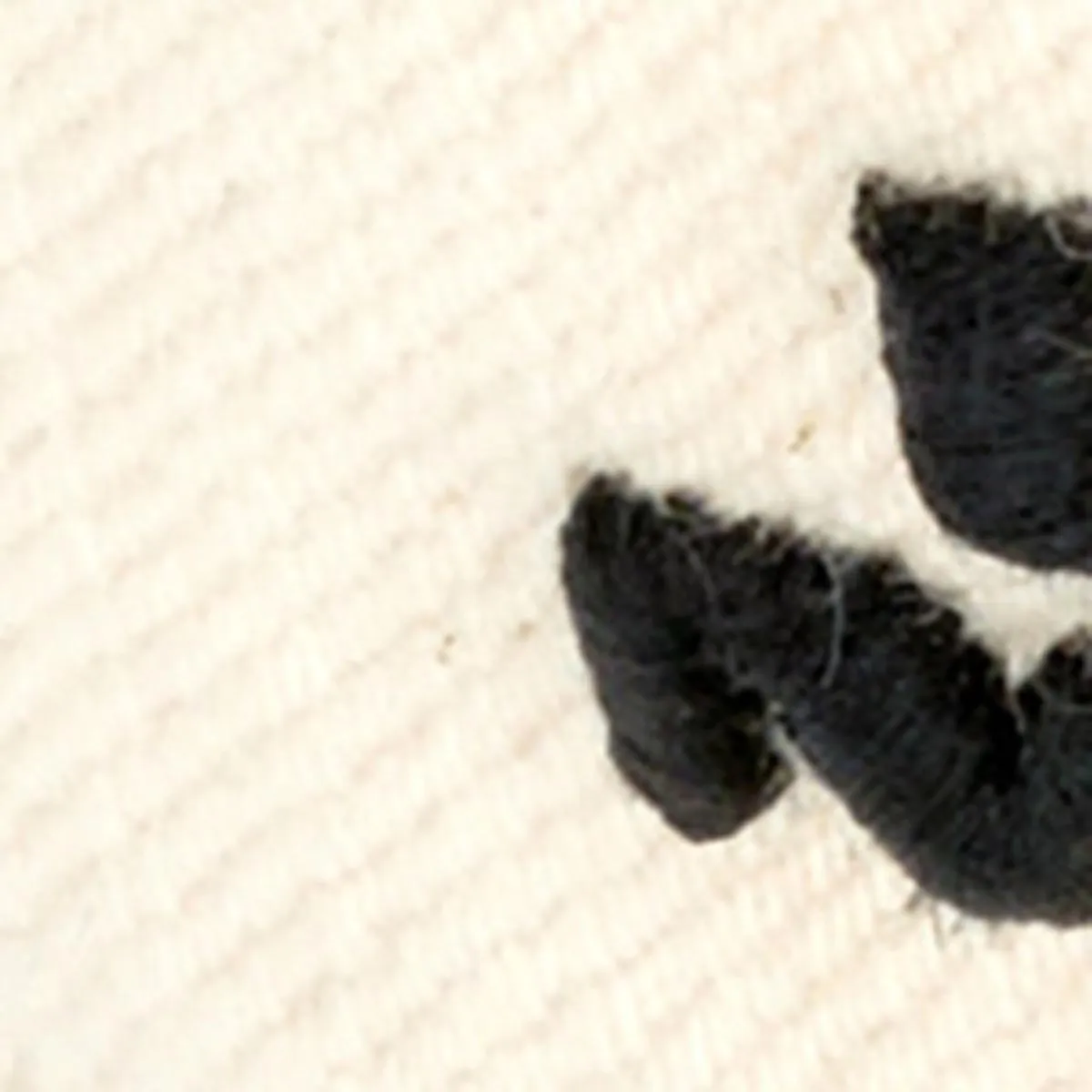 Casquette Tedji sold by Isabel Marant product image thumbnail 5