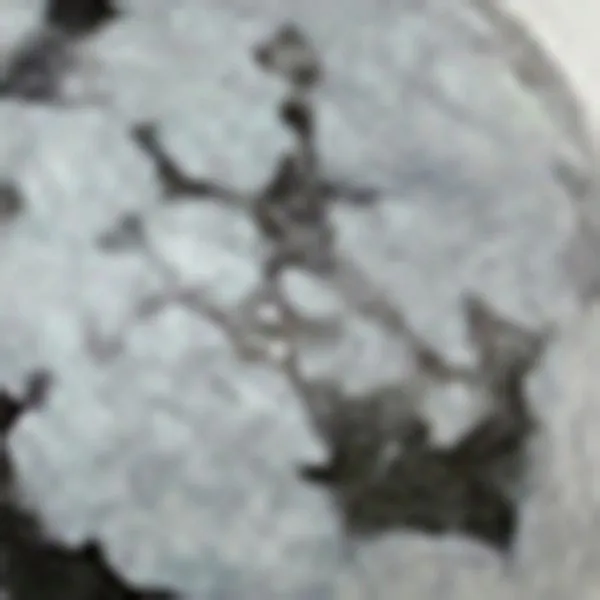 Collier Mr Grigri sold by Isabel Marant product image thumbnail 4