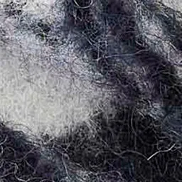 Écharpe Loliana sold by Isabel Marant product image thumbnail 3