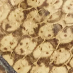 Ceinture Bali sold by Isabel Marant product image thumbnail 4