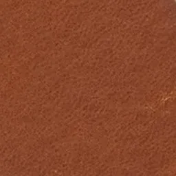 Ceinture Varana sold by Isabel Marant product image thumbnail 4