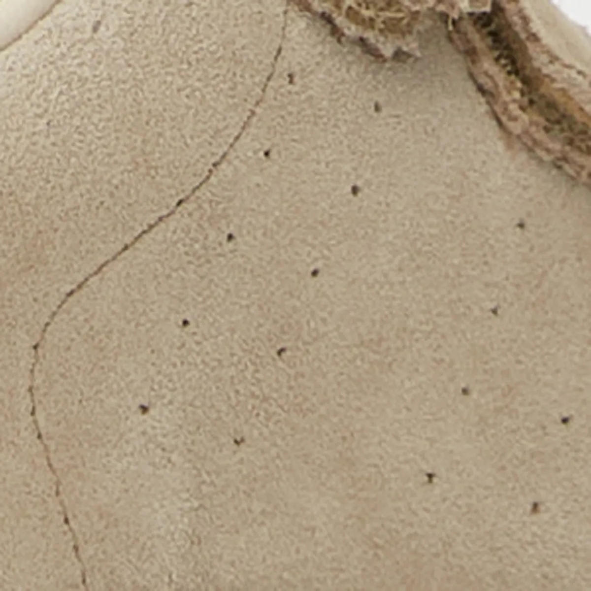 Baskets Beth sold by Isabel Marant product image thumbnail 5