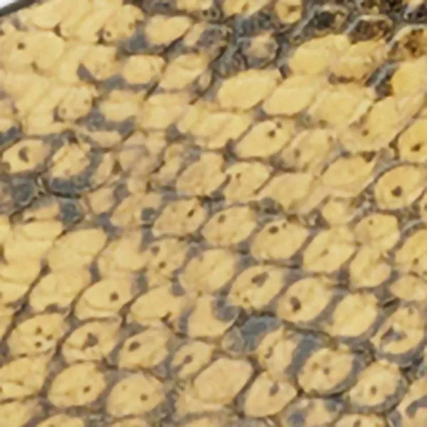 Ceinture Lecce sold by Isabel Marant product image thumbnail 5