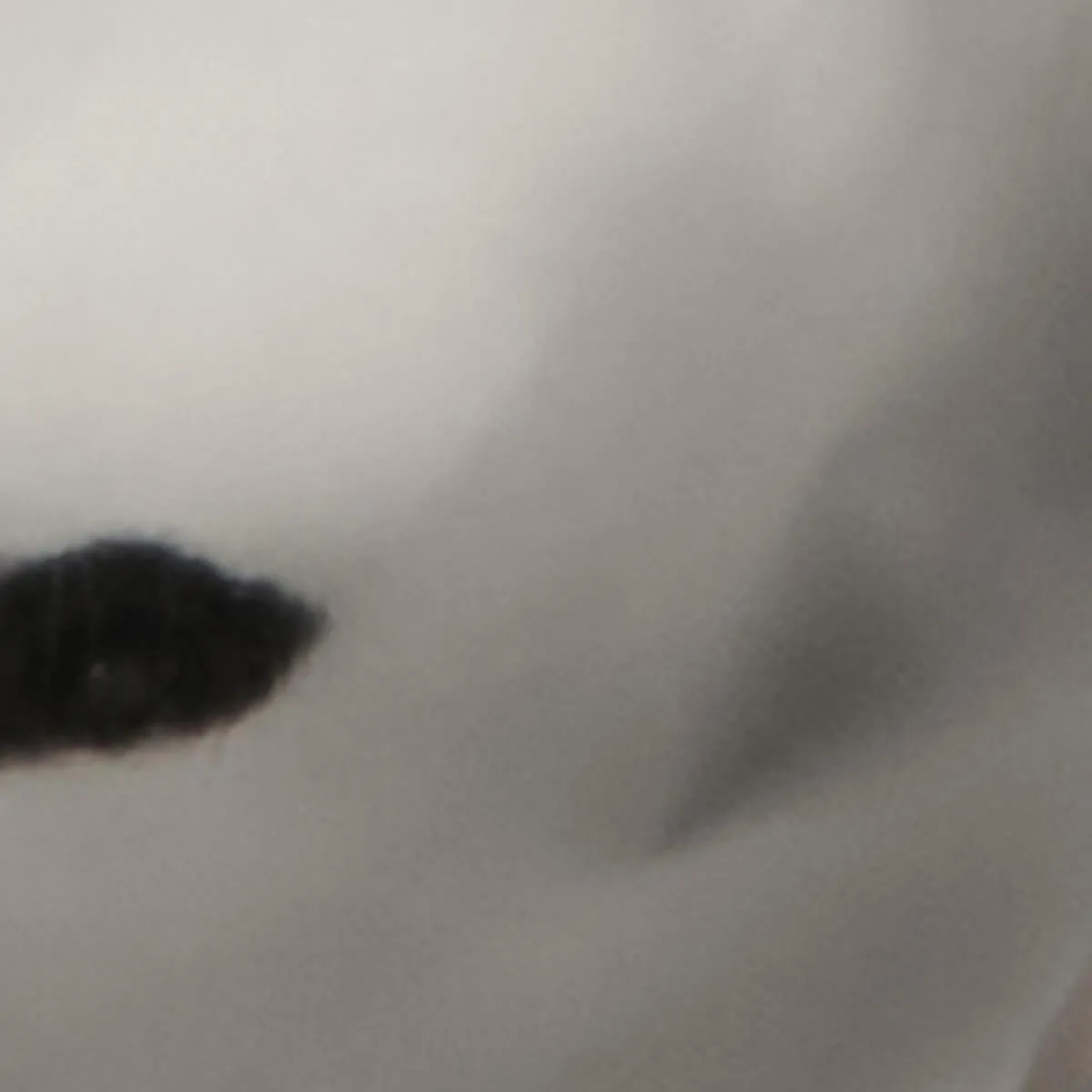 Boucles d'oreilles Awa sold by Isabel Marant product image thumbnail 4