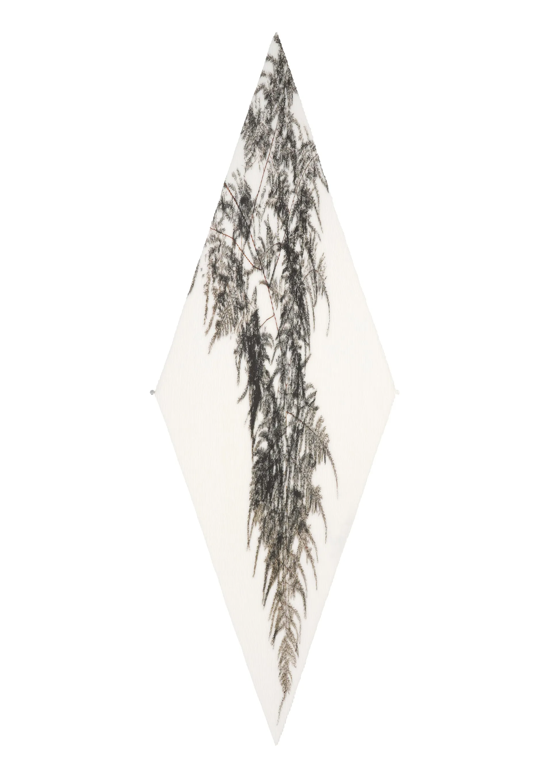 PRESSED FLORA PLEATS STOLE sold by Issey Miyake product image thumbnail 4