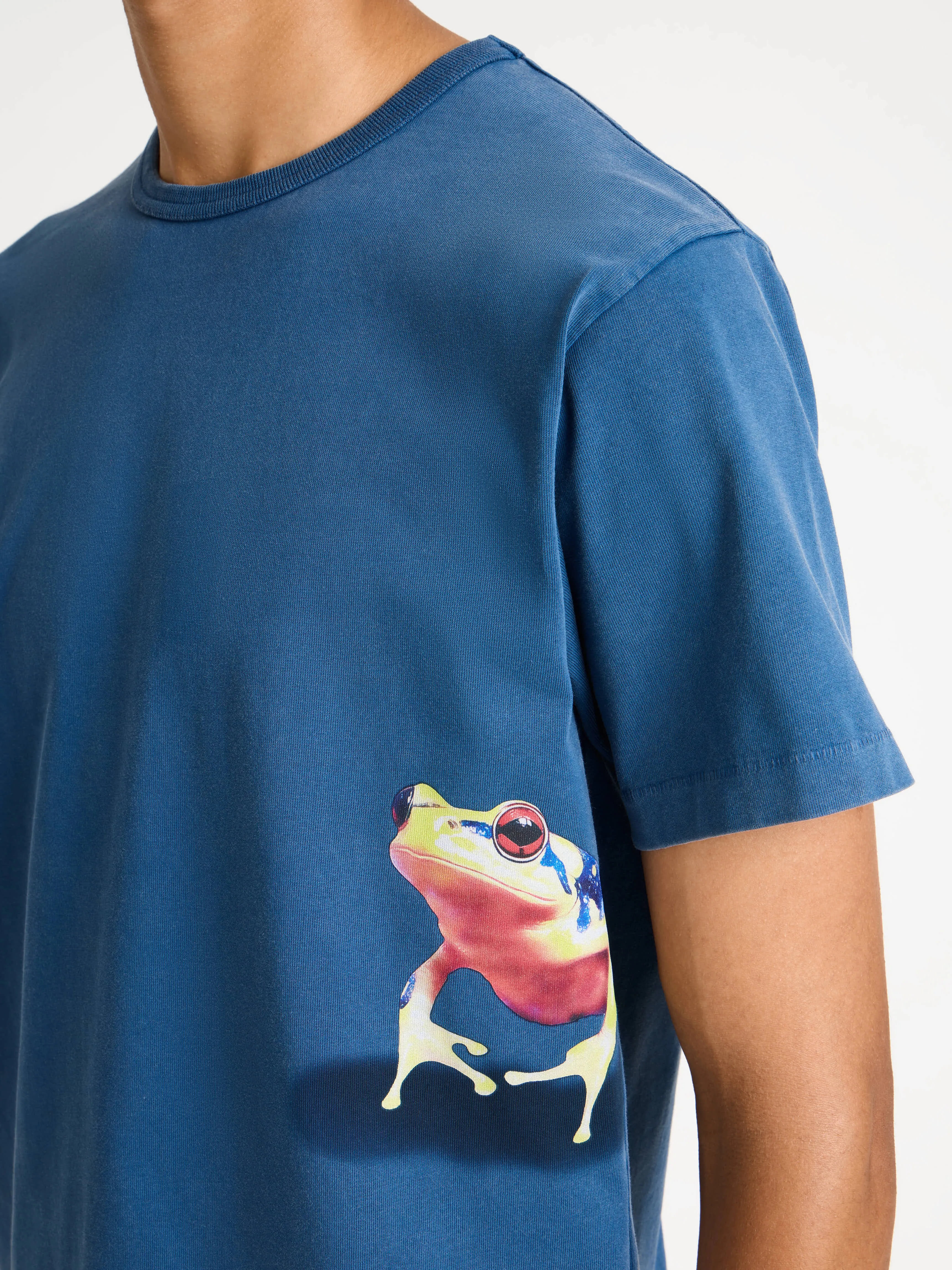 MENS PEEKING FROG TSHIRT IN MID BLUE sold by J.W. Anderson product image thumbnail 5