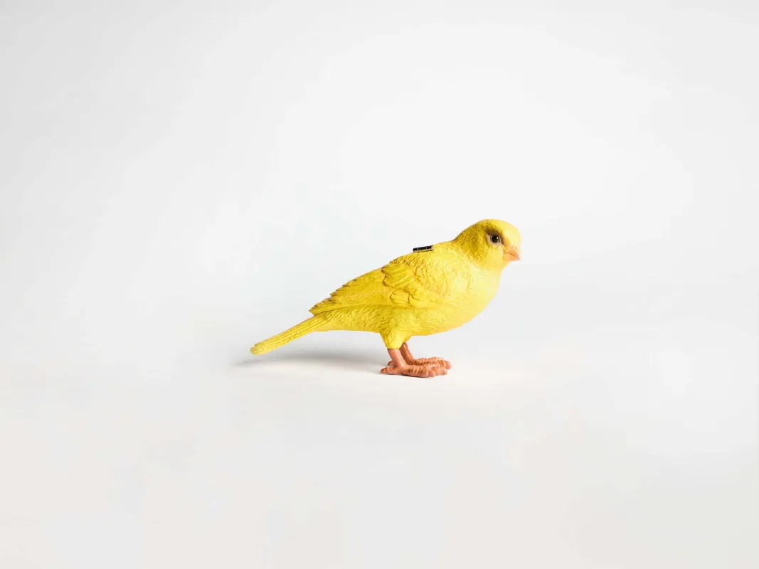 CANARY CLUTCH IN YELLOW made by J.W. Anderson