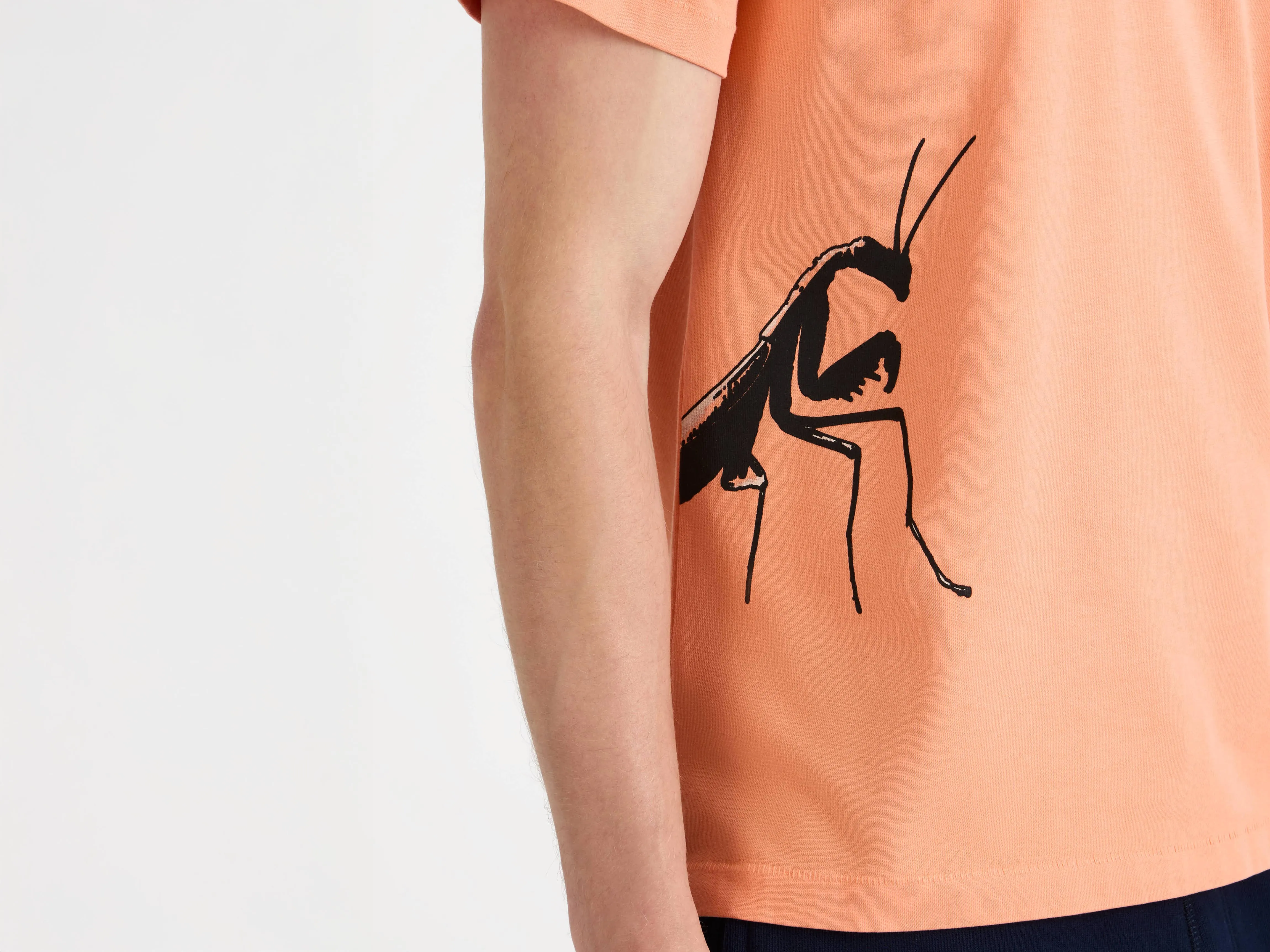 MENS PRAYING MANTIS T-SHIRT IN PEACH sold by J.W. Anderson product image thumbnail 3