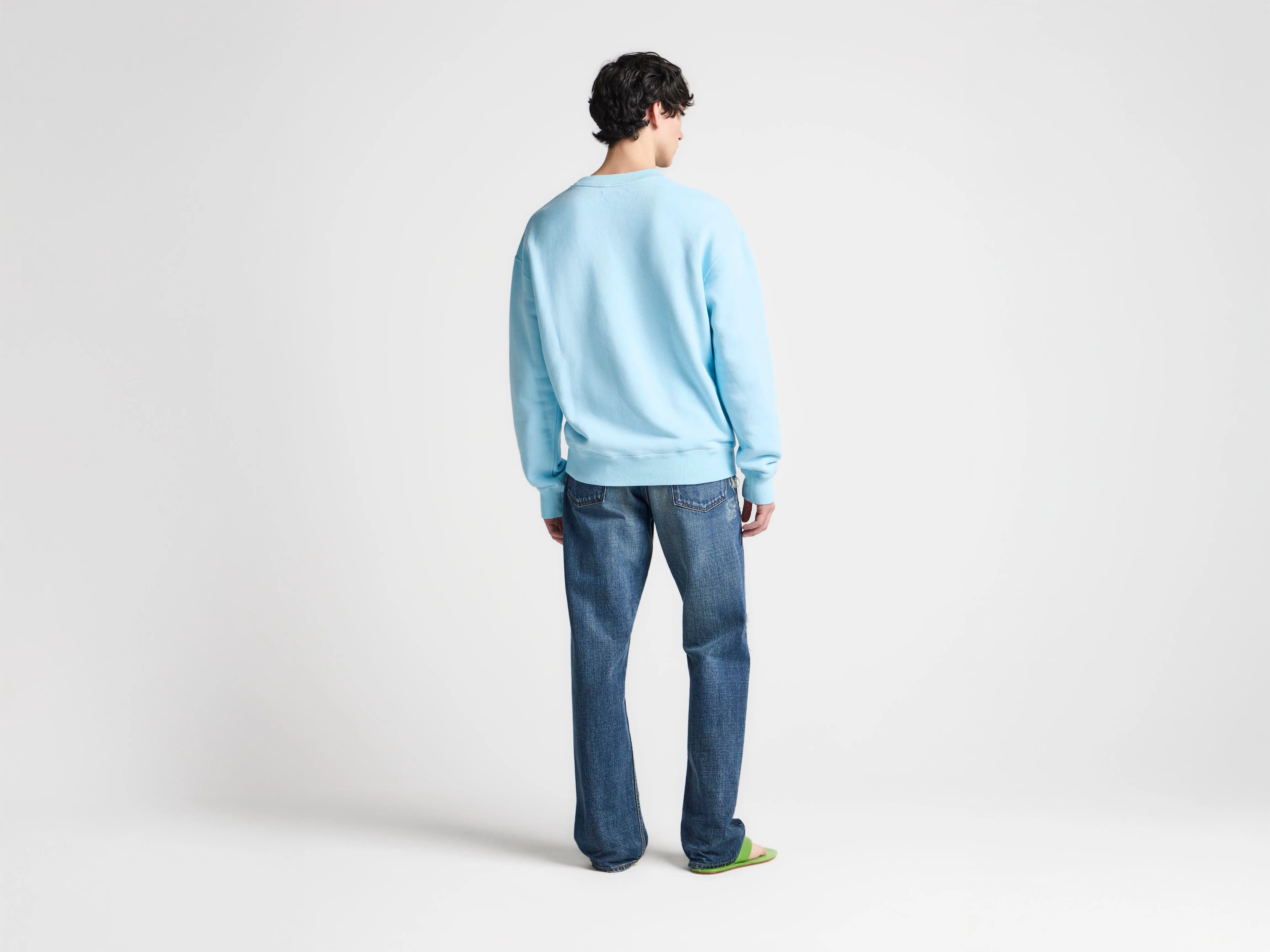 MENS PAINTED BIRDS SWEATSHIRT IN SKY BLUE sold by J.W. Anderson product image thumbnail 4