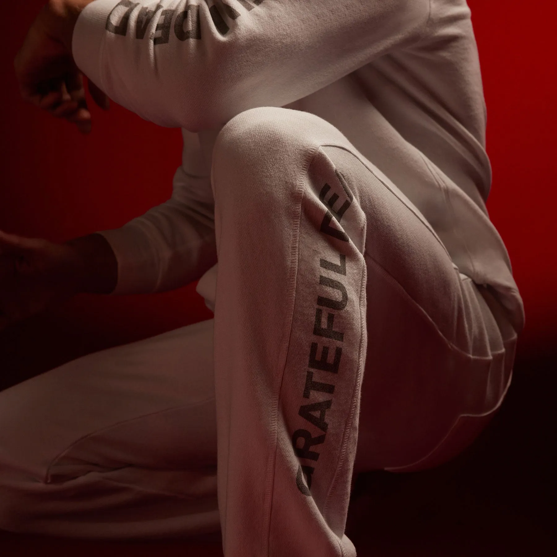 Grateful Dead Sweat Pant - White/Grey sold by James Perse product image thumbnail 2