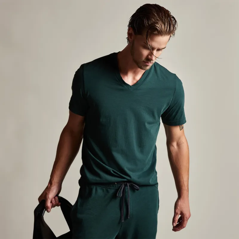 Short Sleeve V Neck - Canopy Pigment sold by James Perse