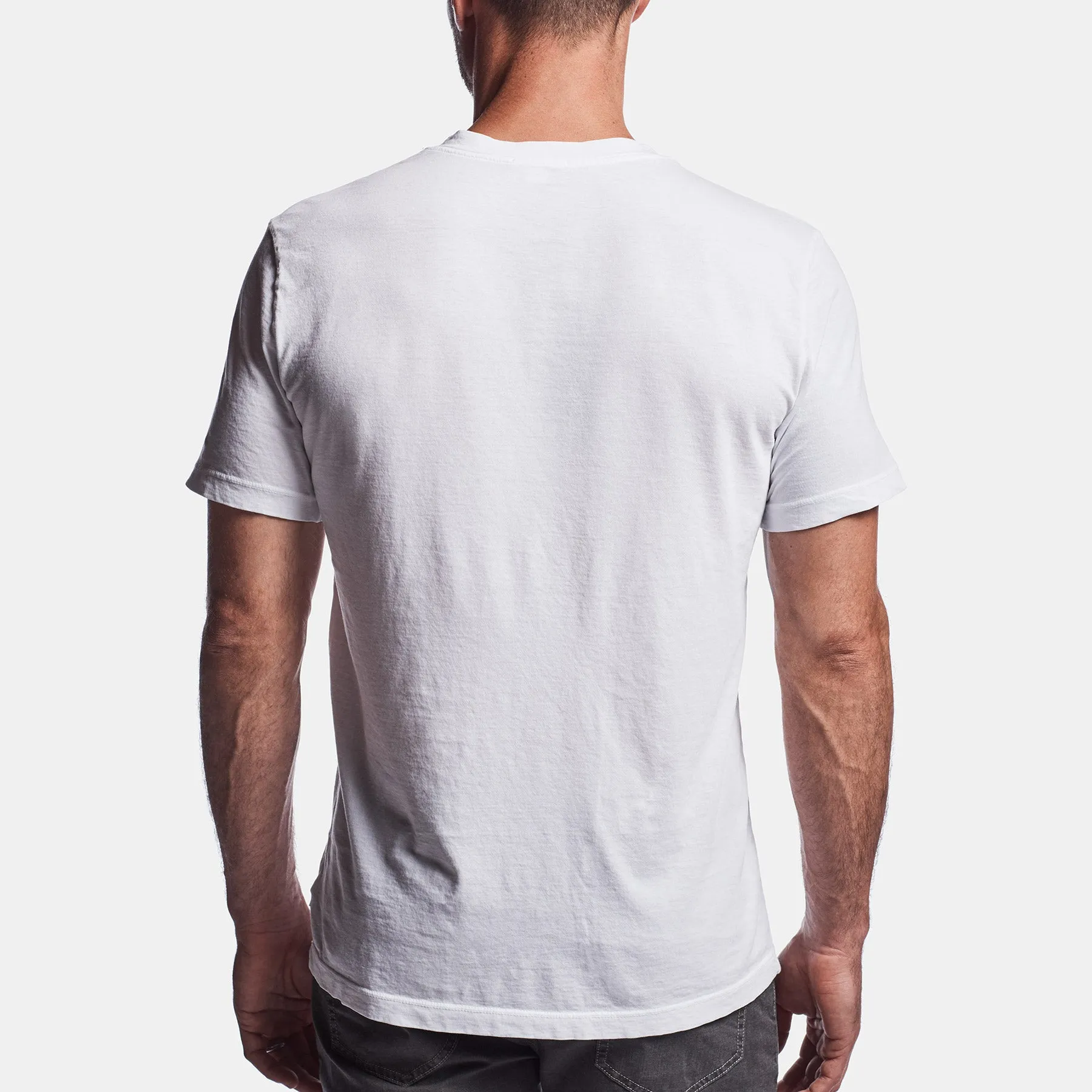 Short Sleeve V Neck - Globe Pigment sold by James Perse product image thumbnail 2