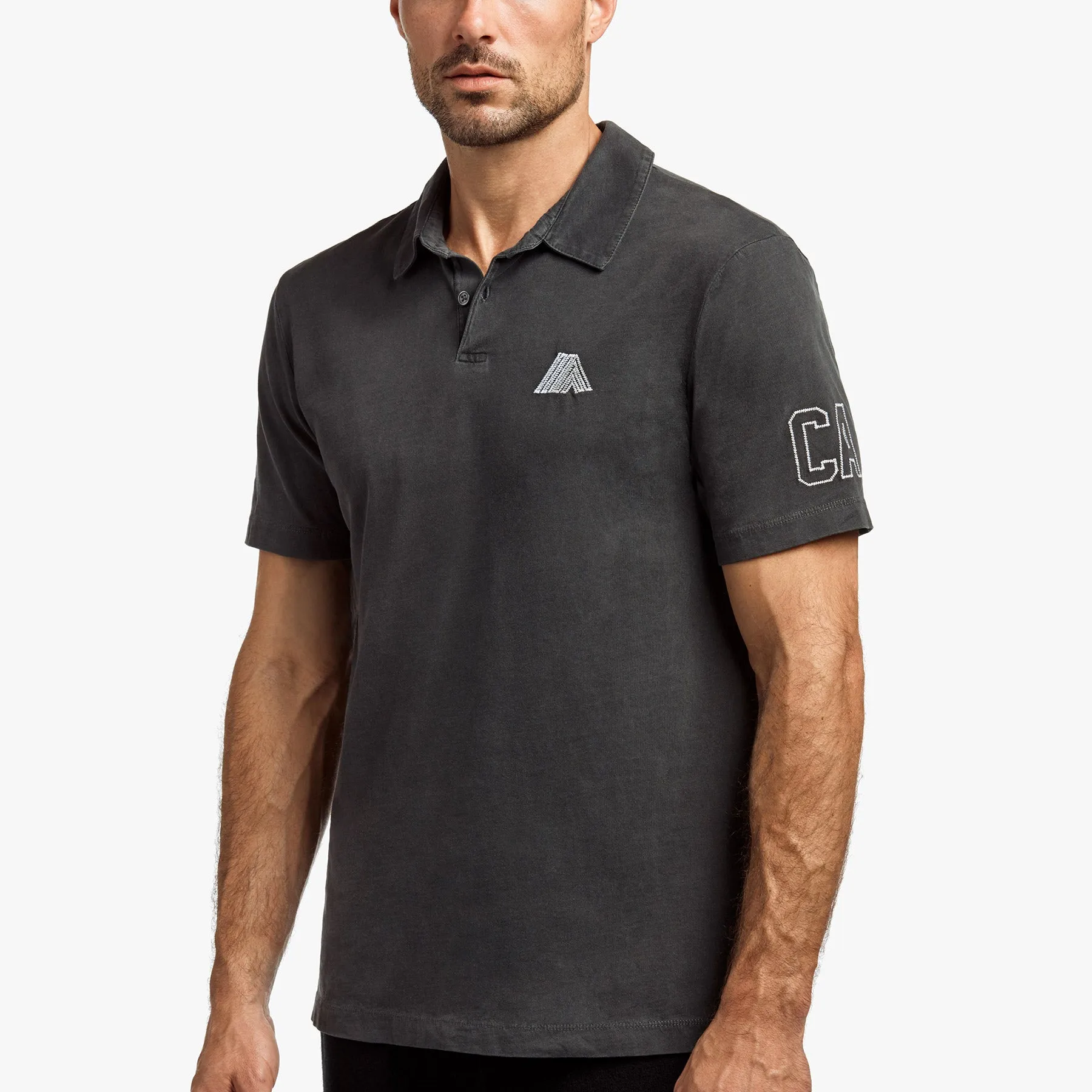 Sueded Jersey Mountain Graphic Polo - Carbon Pigment sold by James Perse