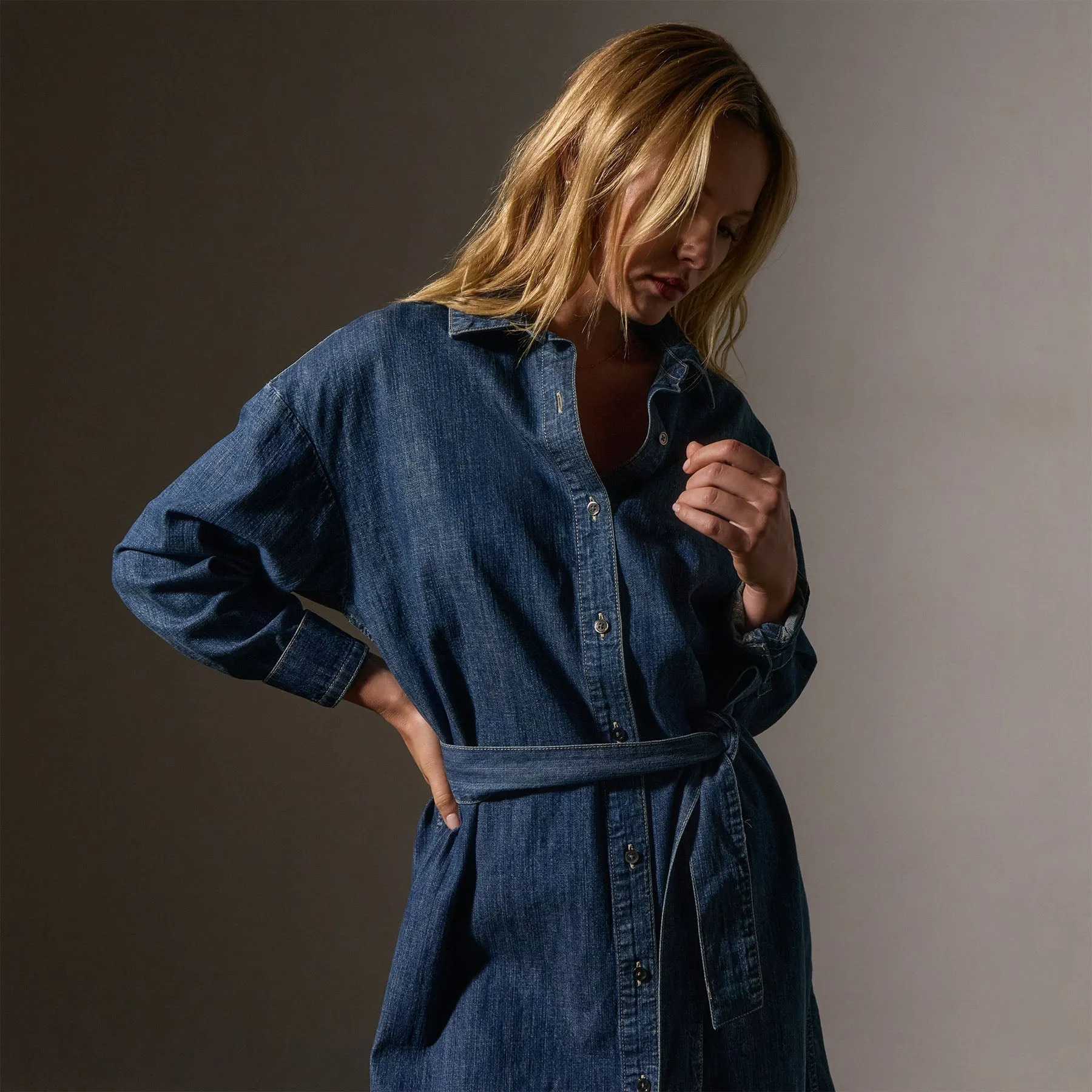 Denim Shirt Dress - Medium Wash sold by James Perse product image thumbnail 3