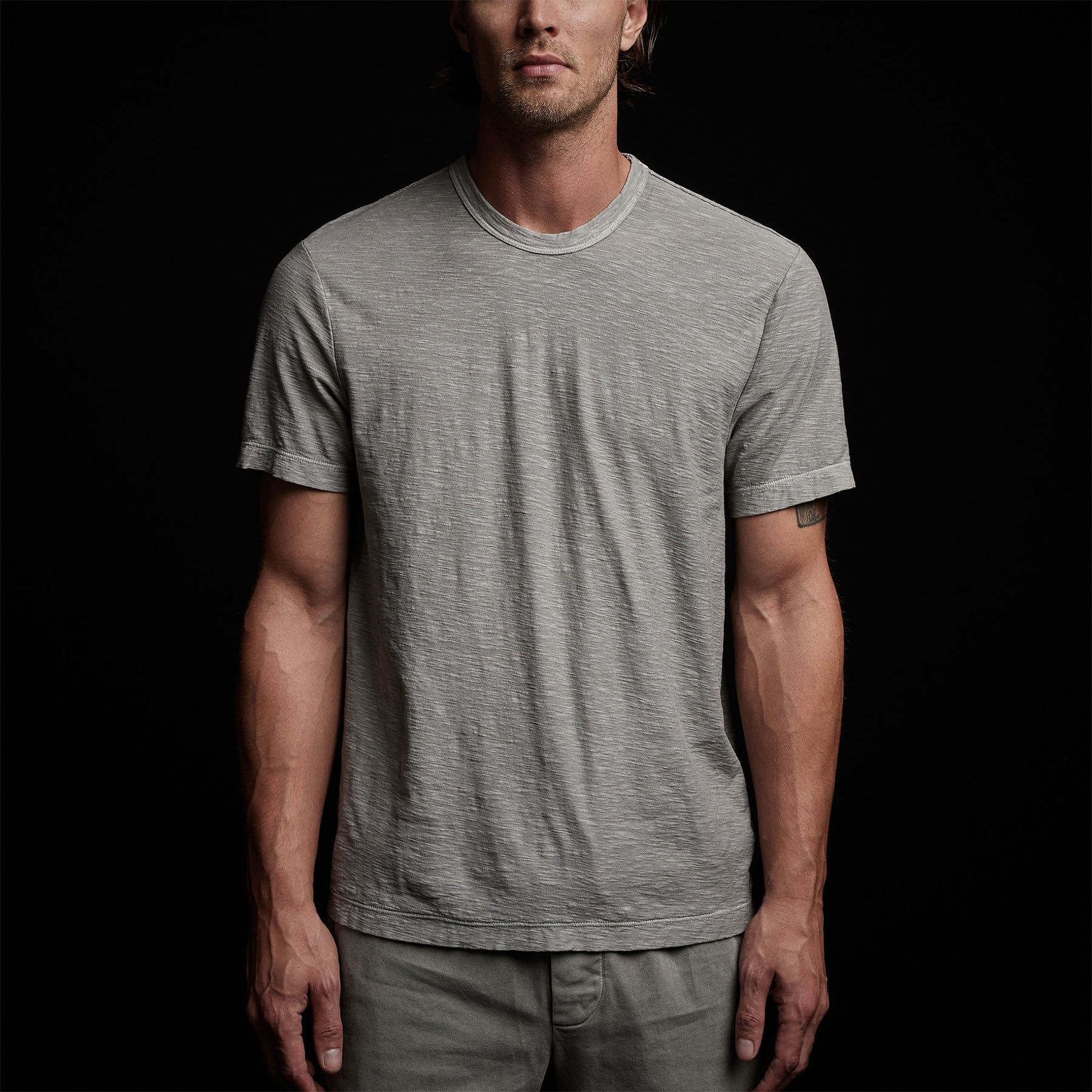 Reverse Slub Jersey Short Sleeve Crew - Concrete Pigment sold by James Perse product image thumbnail 5