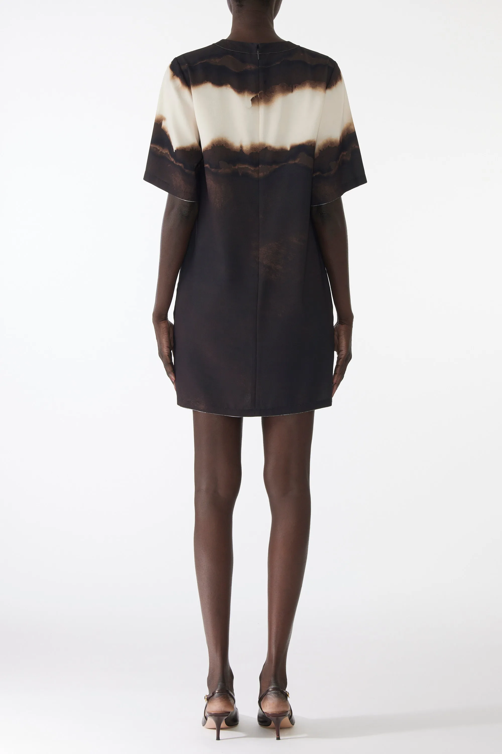 DIFFUSED OMBRE STRIPE SHORT SLEEVE SHIFT DRESS sold by Jason Wu product image thumbnail 3