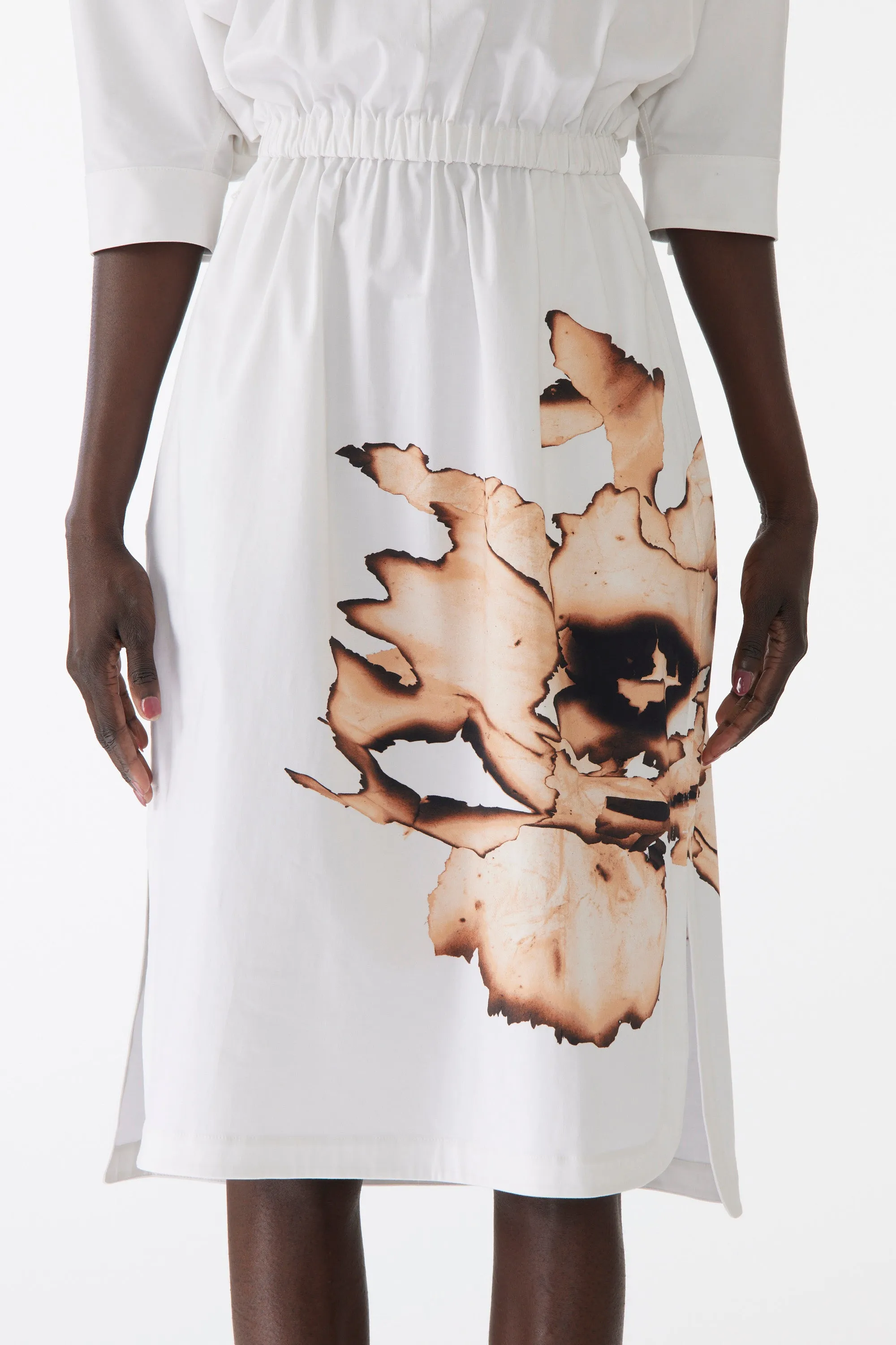 DOLMAN SLEEVE COTTON DRESS WITH FLORAL PRINT sold by Jason Wu product image thumbnail 3