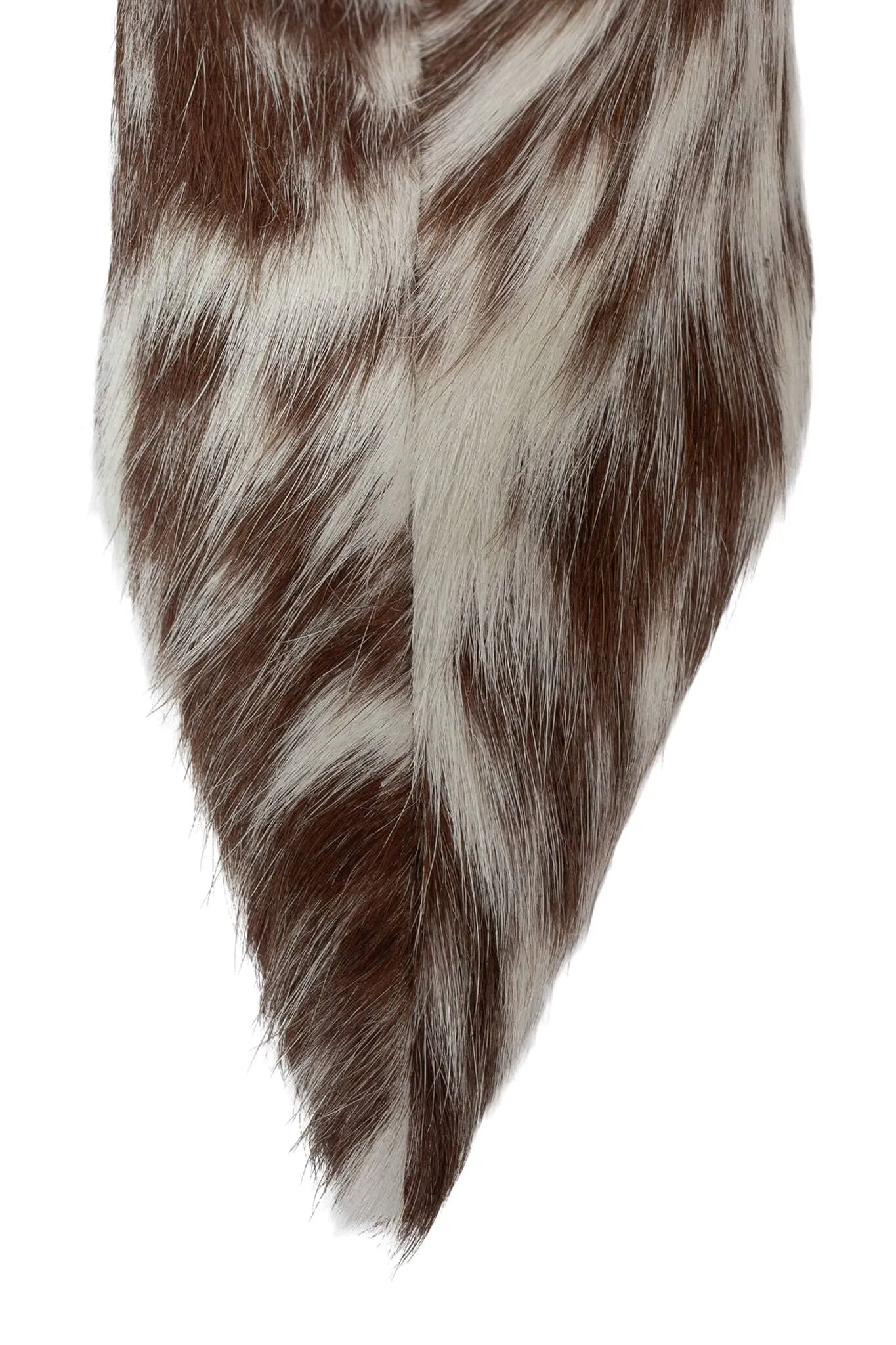 PINPOINT-F sold by Jeffrey Campbell product image thumbnail 4