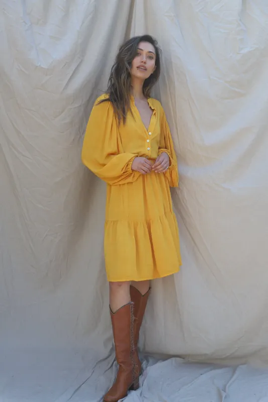 Vallonnet Dress - Sample Sale sold by Jen's Pirate Booty