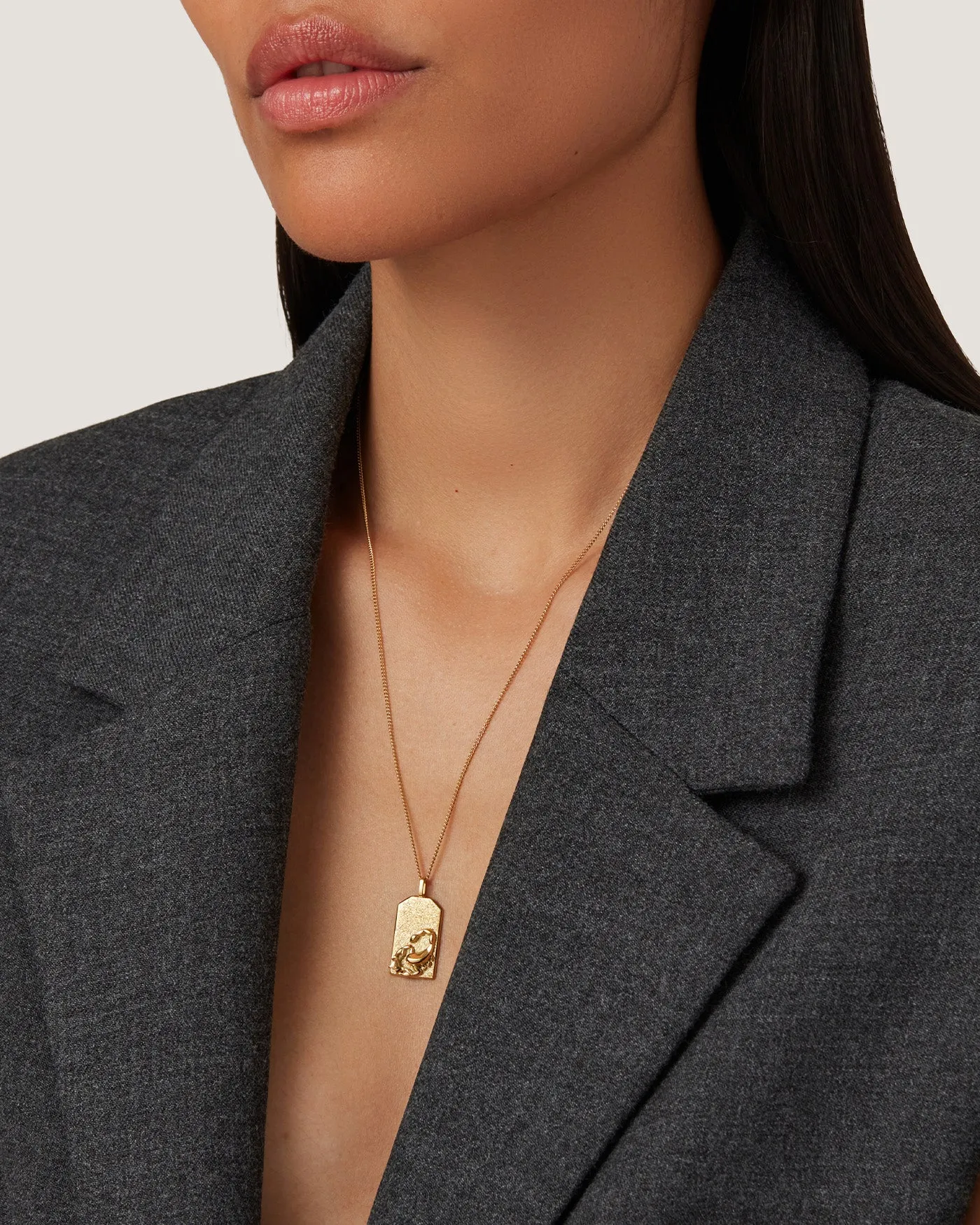 The Scorpio Zodiac Pendant Necklace sold by JENNY BIRD product image thumbnail 2