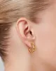 Staple Hoop Earrings - Small sold by JENNY BIRD